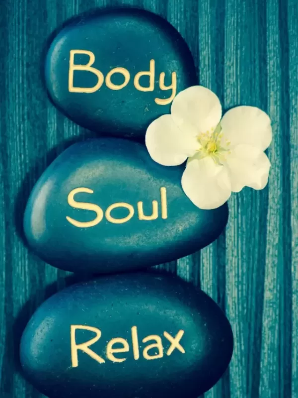 WHAT IS A SOUL WEBSTORY