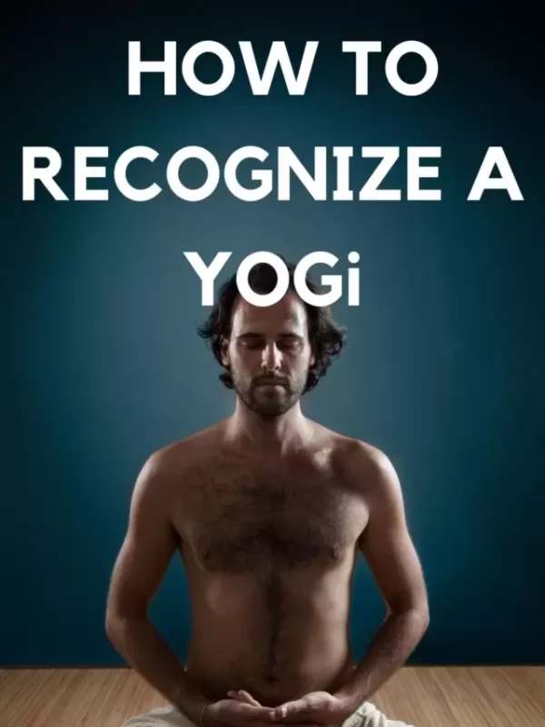 fake yogi